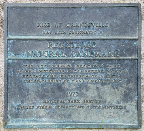 Plaque